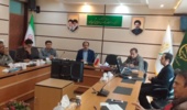 بررسی ایده فناورانه تولید نانوجاذبها و نانوژلهای معدنی در مرکز رشد کشاورزی و منابع طبیعی استان قزوین