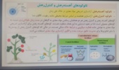 دوره آموزشی نانو کودهای آهسته رهش