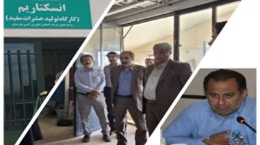 آشنایی مدیر کل دیوان محاسبات استان با یکی از واحد‌های فناور مرکز رشد کشاورزی قزوین